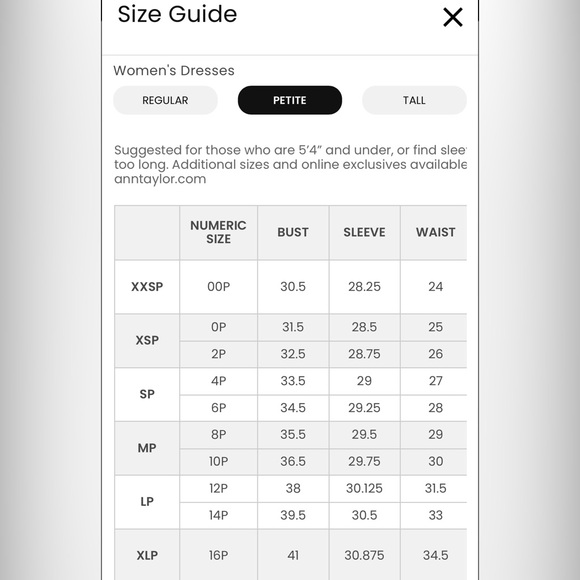 LOFT Petite Smocked Tie Waist Flounce Dress - Picture 7 of 7